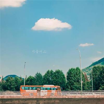东伯雪鹰手游官方