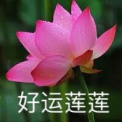 仙凡传说游戏